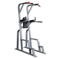 Body Solid Pro ClubLine Vertical Knee Raise by Body-Solid